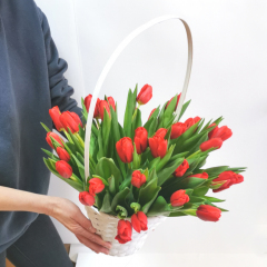 Купить алые тюльпаны в подарок с доставкой