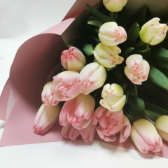Букет розовых тюльпанов 25 шт