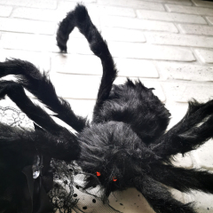 Страшный большой мохнатый черный паук