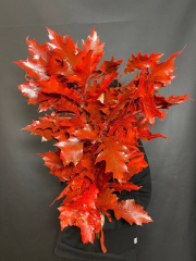 Высокие ветки дуба окрашенные. Декор на Хэллоуин