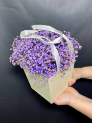 Лавандовая пушистая гипсофила