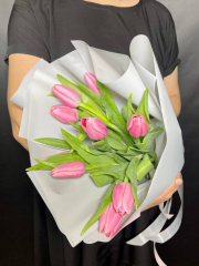 Крупные розовые тюльпаны