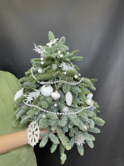 Новогодняя елка белоснежная из живых веток пихты Нобилис