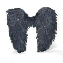 Крылья ангела Черные 55х55