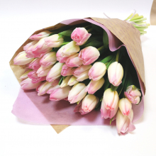 Букет бело-розовых тюльпанов 45 шт