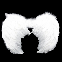 Крылья ангела Белые