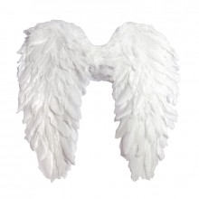 Крылья ангела Белые
