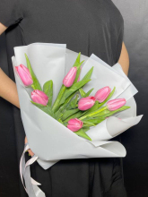 Крупные розовые тюльпаны